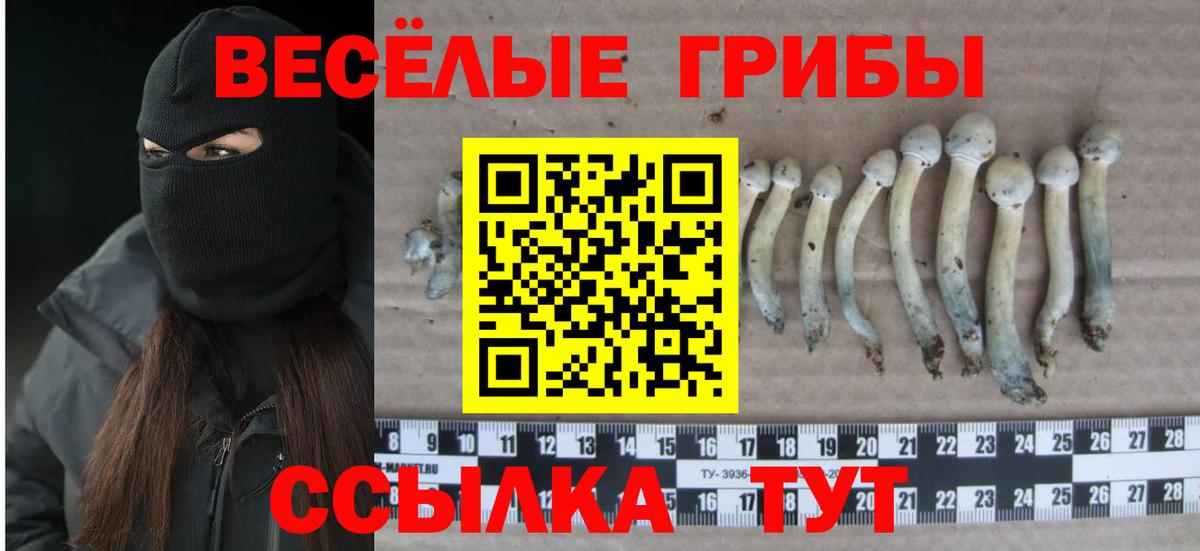 Псилоцибиновые грибы ЛСД Кувандык